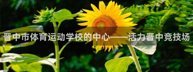 vsport体育官网下载招商电话地址:晋中市体育运动学校的中