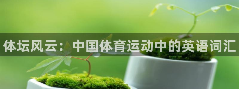 vsport体育官方正版app集团官网首页网址:体坛风云:中